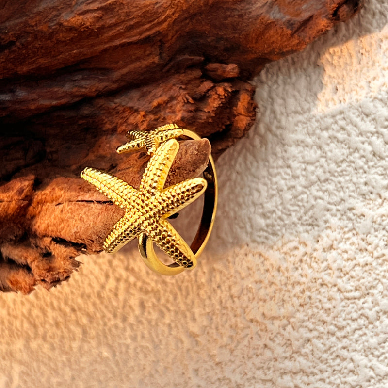 Anillo