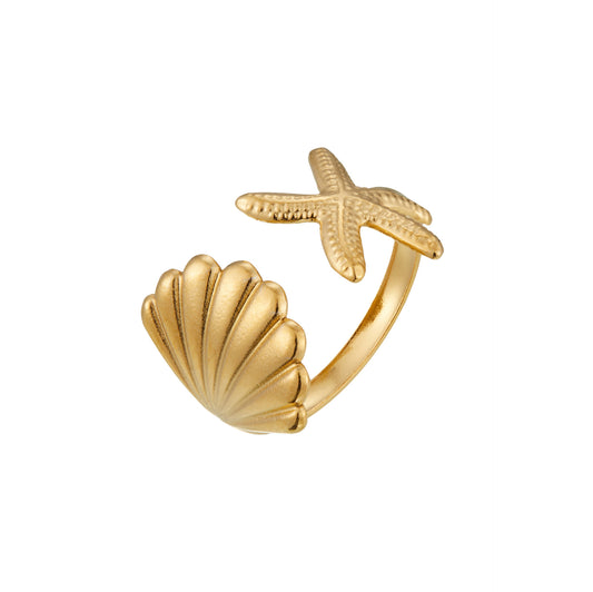 Anillo