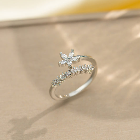 Anillo