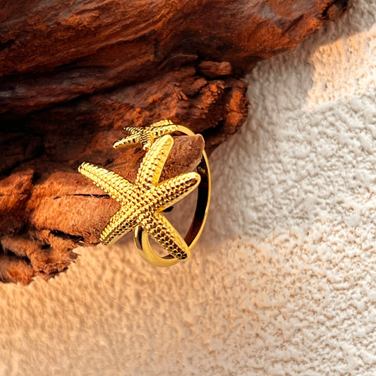 Anillo